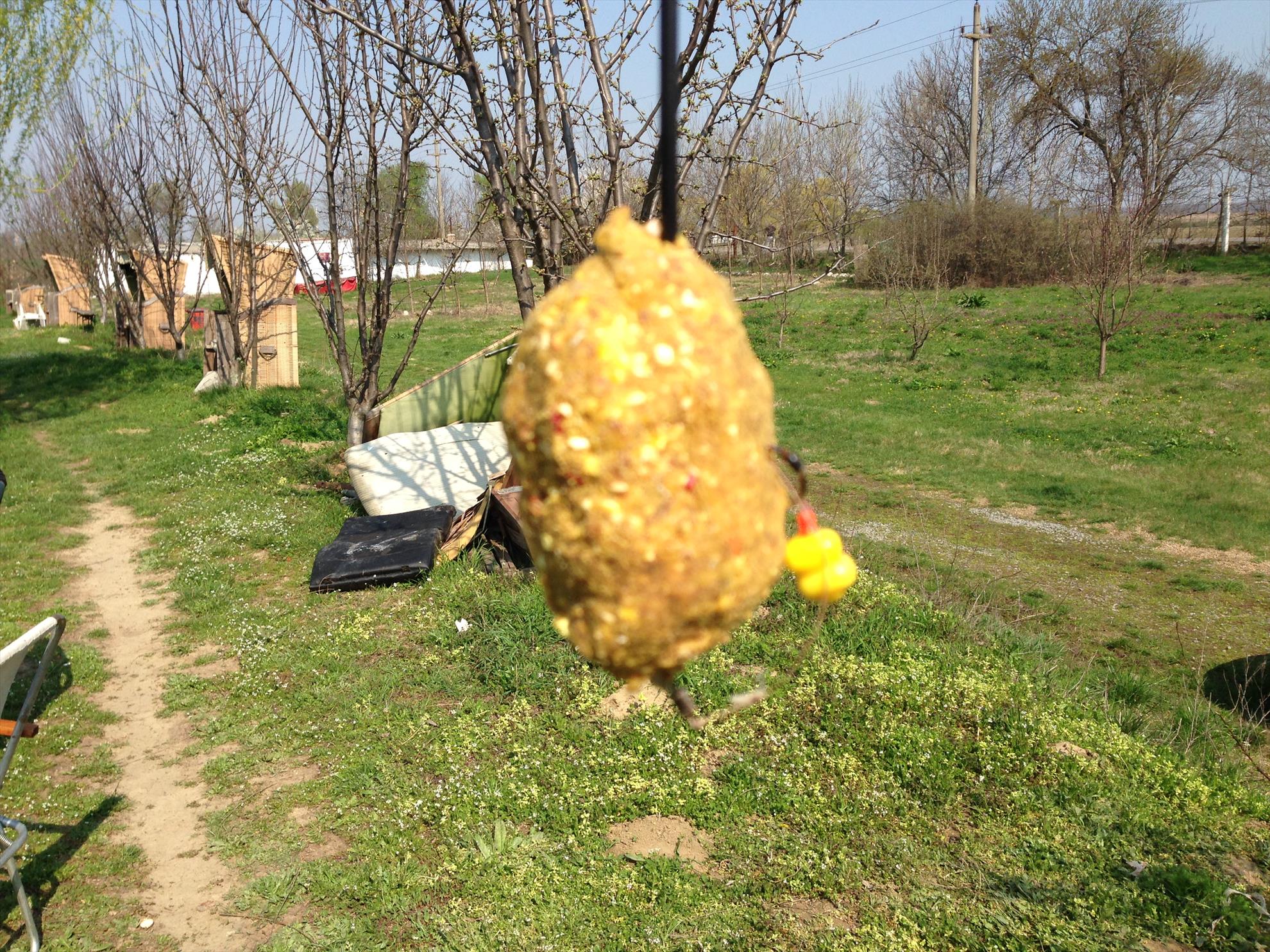 balta oltenitei - img02861.JPG